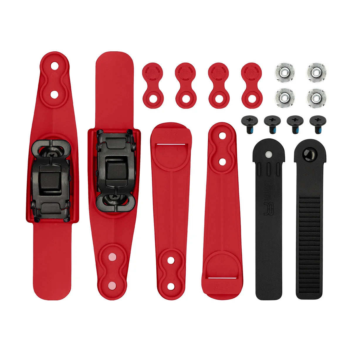 Double Strap and Buckles - Small Size
